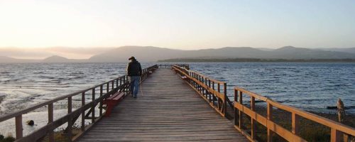 600391_10208960061136432_6097372110223110053_n